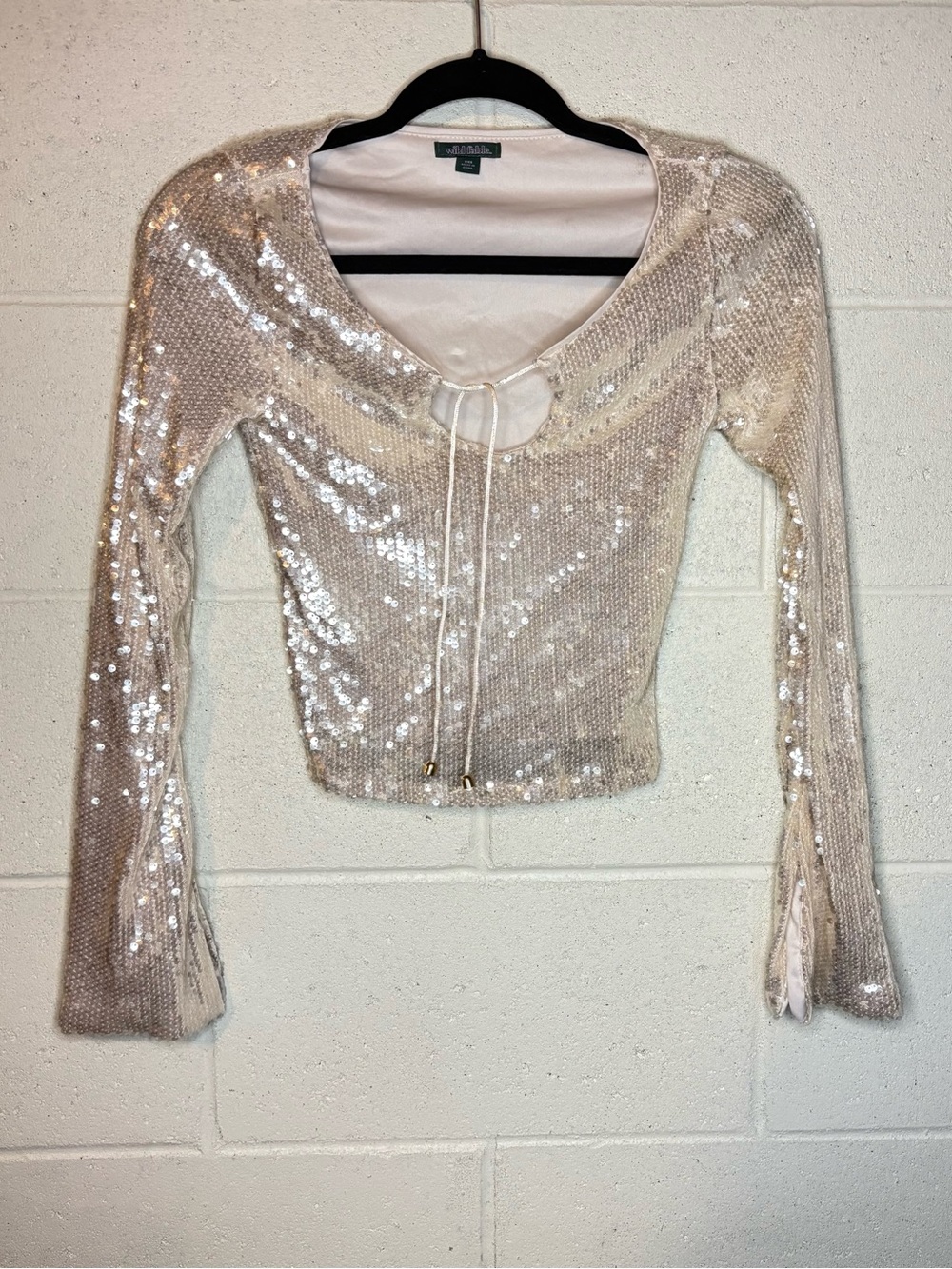 Wild fable sequined long sleeved top women’s size  xxs
